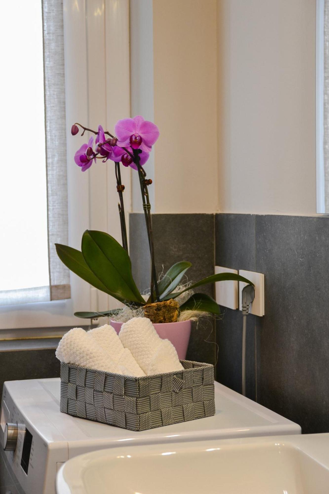 Via Brennero 5 Apartments Pastrengo Ngoại thất bức ảnh