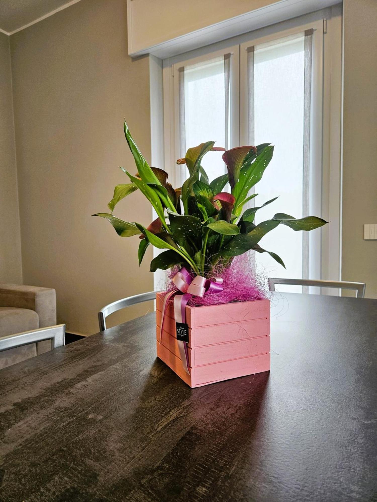 Via Brennero 5 Apartments Pastrengo Ngoại thất bức ảnh